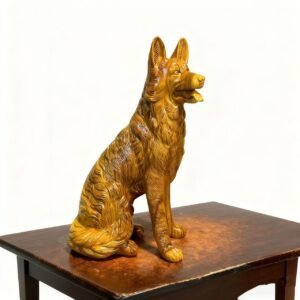 b62f22df977aafafe52d0010464a6ef5 Pet Dog